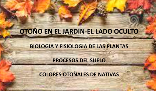 El lado oculto del Jardín