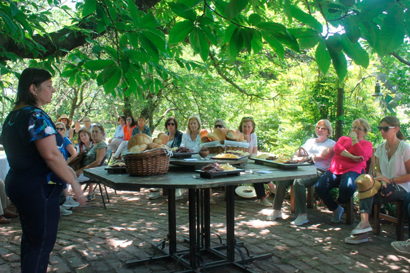 Encuentro de Grupos Jardín