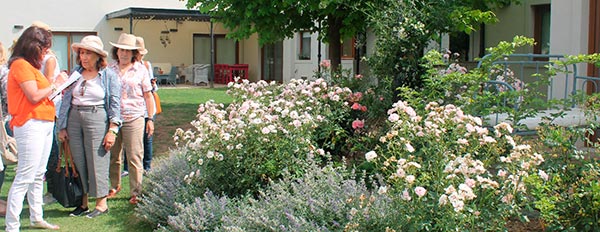 Grupos Jardín
